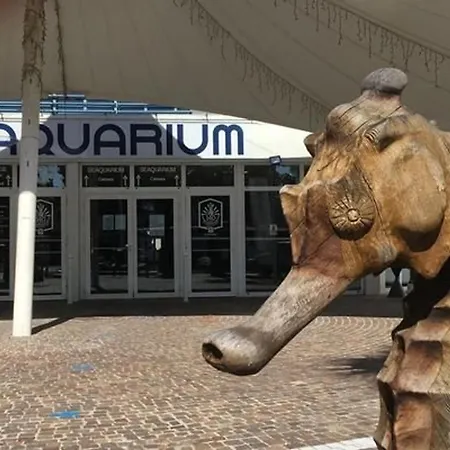 2 Pieces Moderne, Parking Inclus, Proche Et Commerces, Animaux Admis - Fr-1-307-8 לה-גרו-דו-רואה